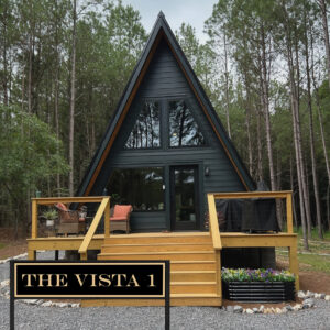The VISTA 1 Architectural Model
