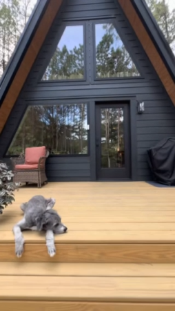 7-Day-Aframes-in-Georgia